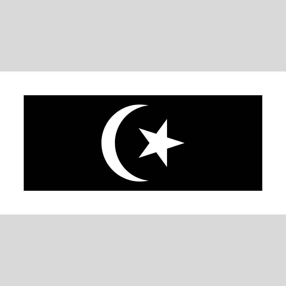 Bendera Negeri Malaysia Flag (Polyester) Banting Flag 15pcs Negeri