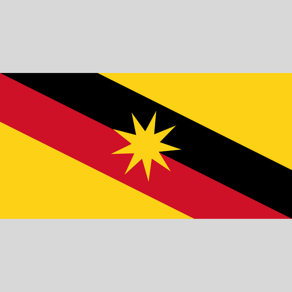 Bendera Negeri Malaysia Flag (Polyester) Banting Flag 15pcs Negeri